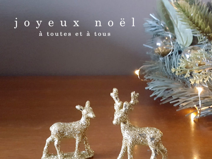 Noël is coming