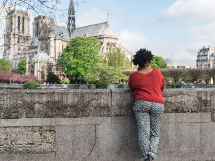 Look Île de la Cité