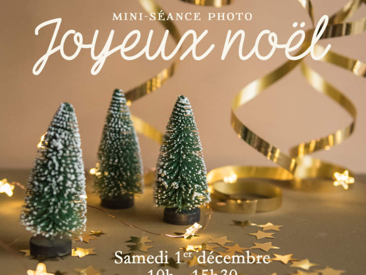 minie-séance « Joyeux Noël »