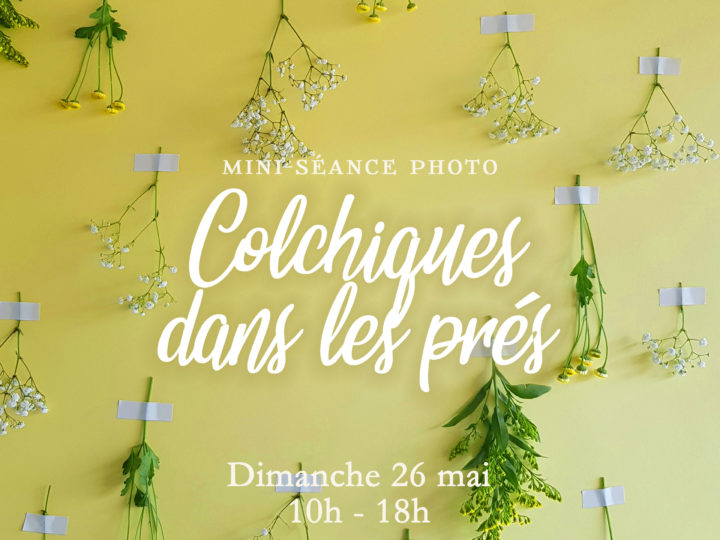 Mini-séance « Colchiques dans les prés »